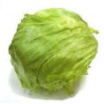 Lechuga Escarola